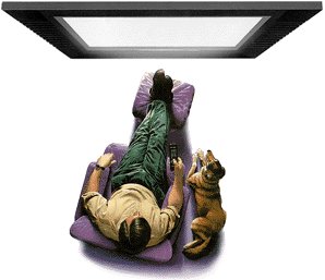 Screen & Viewer